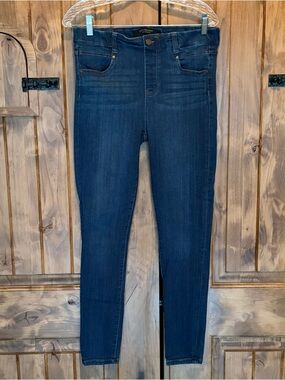 Liverpool Dark Blue Skinny Jeans 10